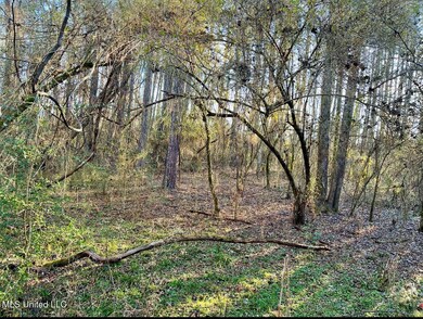 land-for-sale-pike-county-ms4 (2)