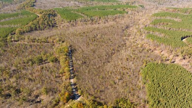 0 Old Highway 18 unit RTC2649682, Stewart, TN 37175 - photo 6