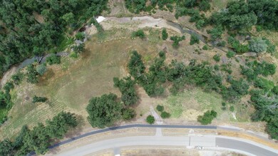 11-DJI_0605
