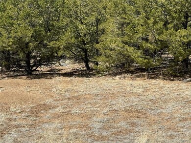 00103 Ute Dr, Mosca, CO 81146 - photo 5