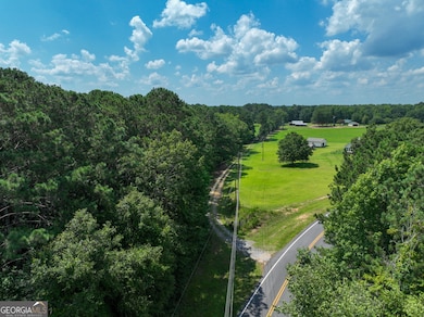 0 Silver Dollar Rd unit 10552561, Barnesville, GA 30204 - photo 3