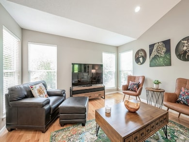 Bright living room, vaulted ceiling