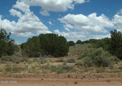 Concho 5