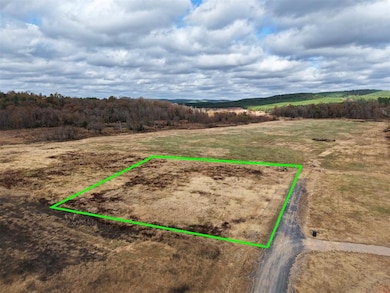 333 Rutty Pine, Broken Bow, OK 74728 - photo 3