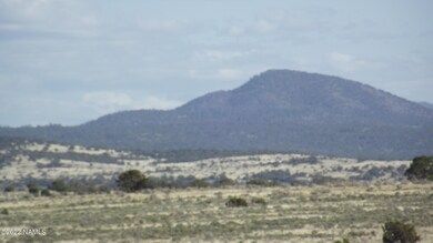 DSCF6151