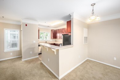 1755CentralPark8103-07