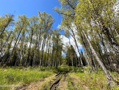 IMG_7253