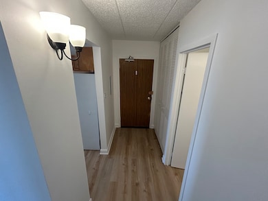 9074 W Terrace Dr unit 4N, Niles, IL 60714 - photo 6