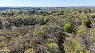 DJI_20240330102046_0064_D