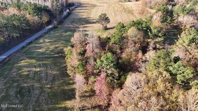 dji_fly_20241126_082844_0190_17326583011