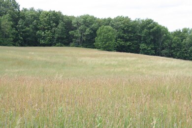 0 Daniels Rd, Honesdale, PA 18431 - photo 4