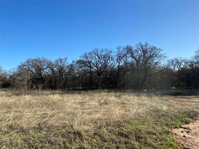 308 N Saddle Spur Ct, Weatherford, TX 76088 - photo 3