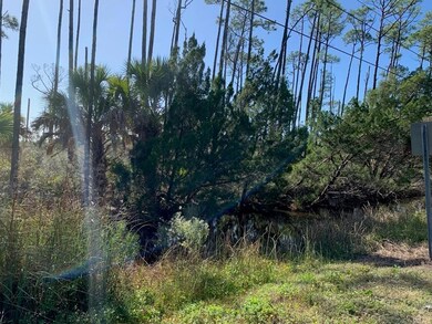 Entrance to property off of County Road 30...