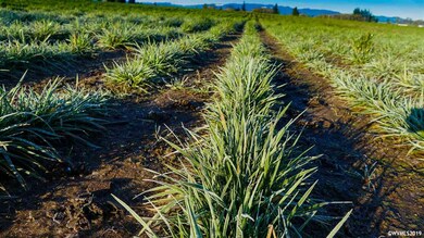 0 Highway 223 (Parcel #572895) unit 746733, Dallas, OR 97338 - photo 7