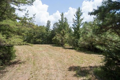 TBD County Road 437, Oxford, MS 38655 - photo 6