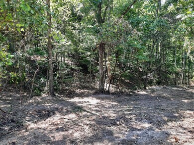 Lot 7 and 8 Harris Rd, Lowell, AR 72745 - photo 2