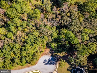 120 Hidden Falls Ct, Rutledge, GA 30663 - photo 6