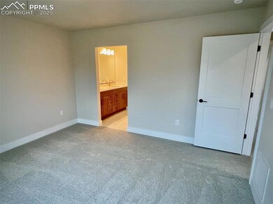 6156 Steele Creek Way, Colorado Springs, CO 80922 - photo 7