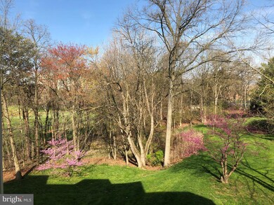 2904 N Leisure World Blvd unit 414, Silver Spring, MD 20906 - photo 3