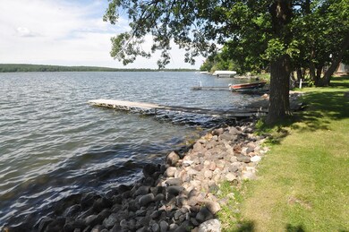 Lake Front with Tree