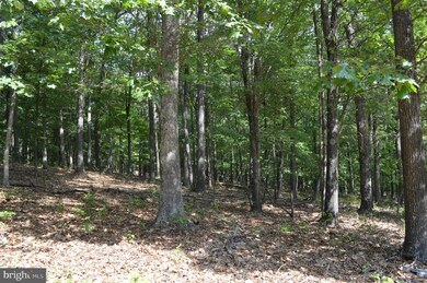 26 Twin Lakes Dr, Berkeley Springs, WV 25411 - photo 5