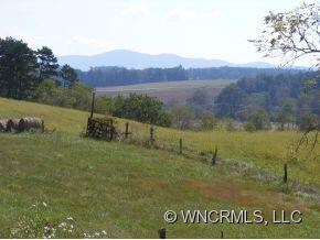 pasture