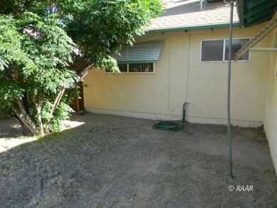Back yard