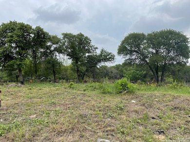 1223 Dupont, San Antonio, TX 78264 - photo 2