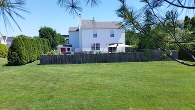 fullbackyard
