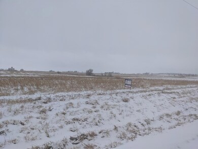 APPROX S Klemme Rd, Beecher, IL 60401 - photo 3