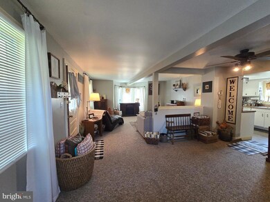 749 Harrison Ave, Berkeley Springs, WV 25411 - photo 7