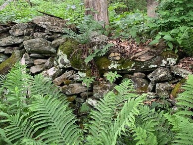 95 Jenne Rd, Hartland, VT 05048 - photo 7