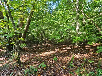 0 Abilene Rd unit 1 57687, Keysville, VA 23947 - photo 3