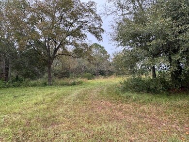 0- Wesley Rigdon Rd, Abraham Baldwin College, GA 31794 - photo 3