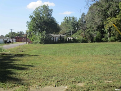 0000 Buchanan St, Benton, IL 62812 - photo 5