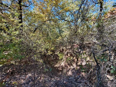 Big Tree Rd, Montague, TX 76251 - photo 7