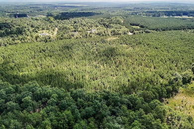 06-DJI_20250617105536_0300_D