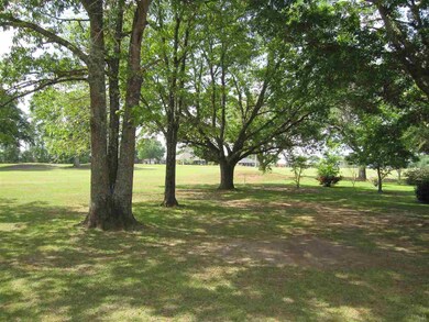 back yard among gorgeous draping Oaks.