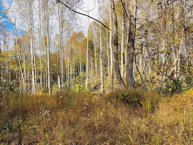 TBD Red Roof Ln, Laurel Fork, VA 24352 - photo 7