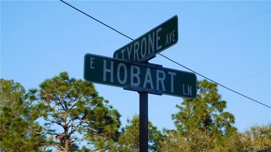 1315 E Hobart Ln, Hernando, FL 34442 - photo 6