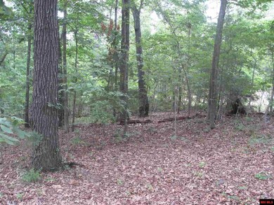 0 Diamond Bay Rd, Union Township, AR 72531 - photo 6