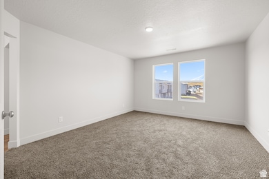 Unfurnished room featuring light colored carpet and a textured ceiling