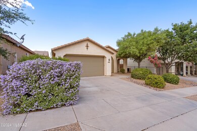 1 Front Yard-3