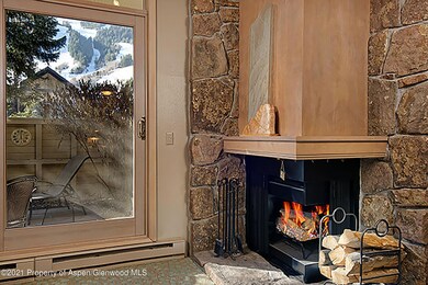 Wood burning fireplace