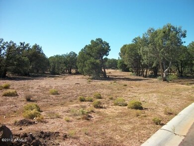 0 N Earhart Pkwy unit CLO 4835196, Payson, AZ 85541 - photo 4