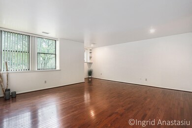 Lots of Natural Light