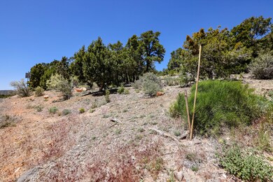 2-597 Mule Deer Rd, Central