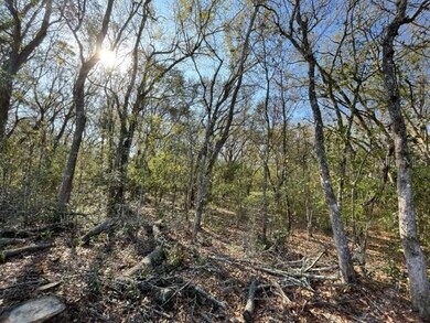 232 SW Stell Glen, Lake City, FL 32024 - photo 5