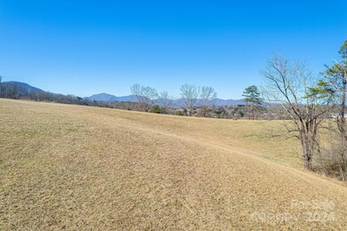 99999 Old Farmstead Trail, Leicester, NC 28748 - photo 3