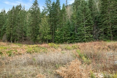 0 XXX 0, Leavenworth, WA 98826 - photo 4